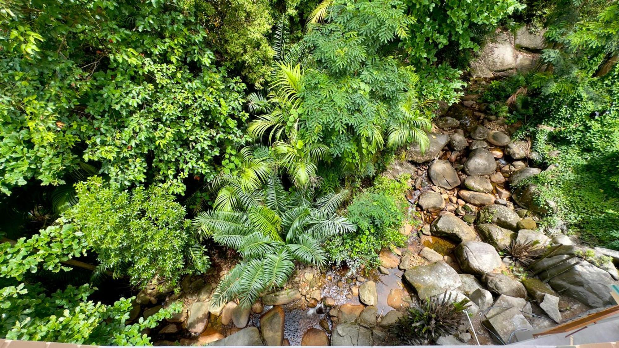 The Palm Seychelles Apartment Bel Ombre Luaran gambar
